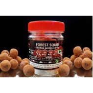 BOILIES DE CARLIG DUDI BAIT FOREST SQUID 16-20mm 