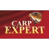CARP EXPERT 
