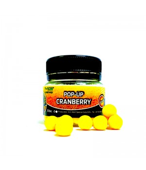 POP-UP CRANBERRY (8MM)